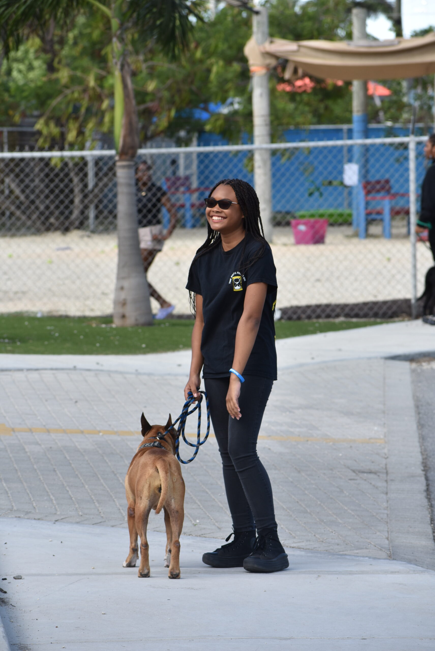 YAP - Dog Walk 3